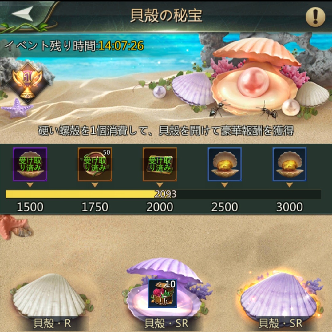 貝殻の秘宝